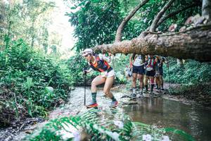 BIB: 
                            <button type="button" onclick="openModal(25444039)" class="btn btn-primary btn-sm float-right btn-popup" data-toggle="modal" data-target=".modal-high-quality">
                        <i class="fas fa-shopping-cart"></i> Add to Cart
                    </button>
                                            <button type="button" onclick="isThisMe(25444039, true)" class="btn btn-success btn-sm float-right btn-popup btn-isme hidden" data-toggle="tooltip" data-placement="bottom" title="นี่คือรูปของคุณใช่ไหม คลิกที่นี่เพื่อเอาเข้าอัลบั้ม">
                        <i class="fas fa-plus"></i> Add to album
                    </button>
                    <button type="button" onclick="isThisMe(25444039, false)" class="btn btn-warning btn-sm float-right btn-popup btn-isnotme hidden">
                        <i class="fas fa-ban"></i> Remove from album
                    </button>